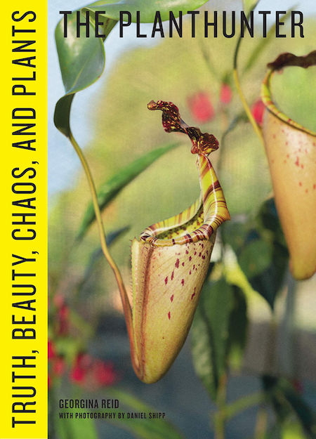 Book News & New Books